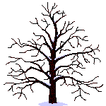 Vierjjahreszeiten-Baum