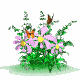 Blumen-Falter