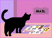 Mailkatze