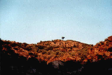 Felsen gülden gefärbt vom Sonnenuntergang