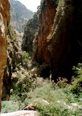 in der Schlucht von Butterfly-Valey