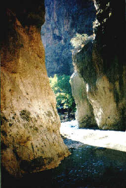 die Schlucht in Sonne getaucht