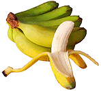 Banane Kanarie - Foto: fruitlife.de/.../banane-de.htm