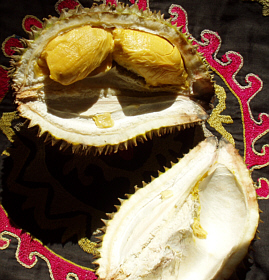 Durian - meine Lieblingsfrucht