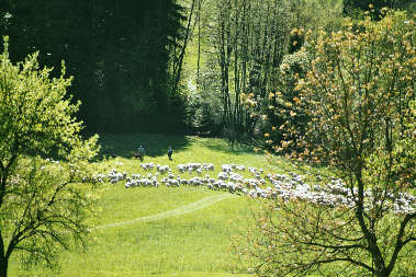 Wanderung