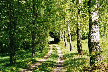 Wanderung