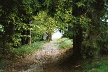 Weg