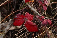 2015-10-30_Isarbad_(101)1.JPG