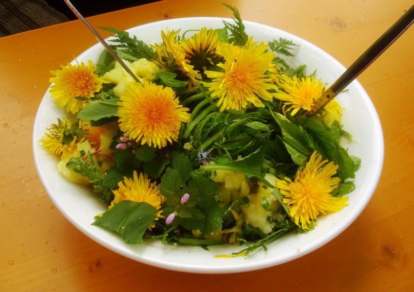 Regina F. Rau: Frühlingswiesen-Salat mit Bärlauch 