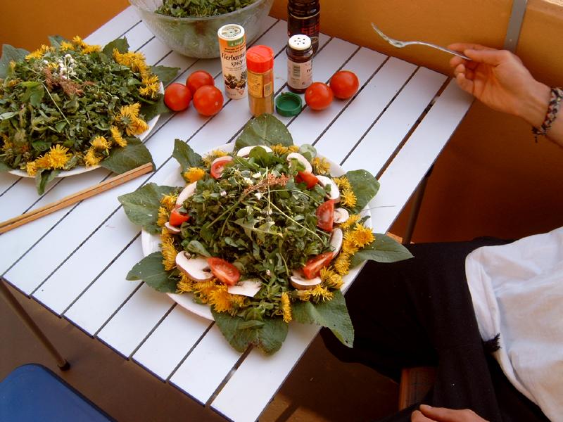 Regina F. Rau: Frühlingswiesen-Salat mit Bärlauch 