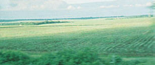 Windmühlen in Rumänien  - © Regina F. Rau