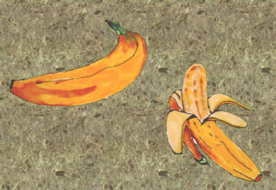 © Regina F. Rau: Bananen