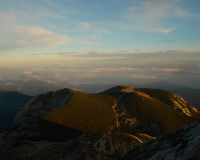 herrlicher Ausblick auf die Gipfel-Inseln im Nebelmeer