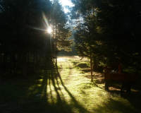 Frühmorgens