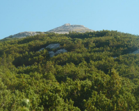 ToniGauggWeg