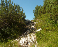 ToniGauggWeg