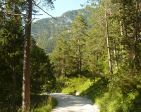 Karwendelweg Abstieg