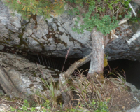 Vorderkarhöhle