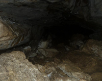 Vorderkarhöhle