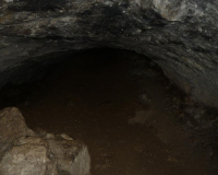 Vorderkarhöhle