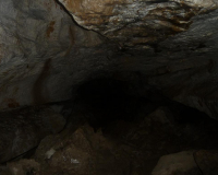 Vorderkarhöhle