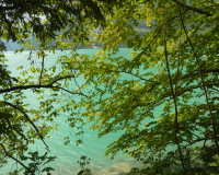 Walchensee